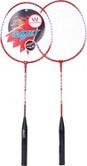 Badminton set
