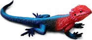 Safari® Agama mwanza