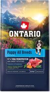 56fe14917366fd901173b5008f619032.jpeg