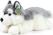 Plyšový pes husky ležiaci 30 cm ECO-FRIENDLY