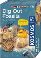 Scavi di fossili per bambini