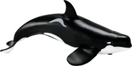 Safari® Orca typ D