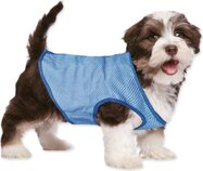 Vesta Dog Fantasy chladiaca XL