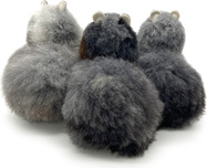 SMALL -  wolf v2- back.jpg