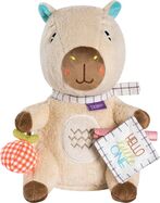 Doudou capybara 'Hello little one'