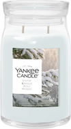 YC Signature Kerze Groß Snow Kissed Pine
