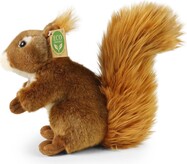 250994-2.jpg