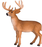 387038.animal.jpg