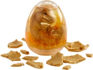 gjilufuglguil.jpg
