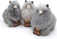 limited - small - wolf - group.jpg