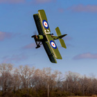 EFL10975-06.jpg