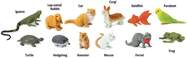 ce487bcecc22180214ec34b11312a0d220a0899a_1000x1000_crop_center.jpg