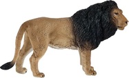 MJ381070_Lion_1.jpg