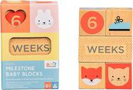PTC468_PRO_WoodenBabyMilestoneBlocks_01_LO_1800x.jpg