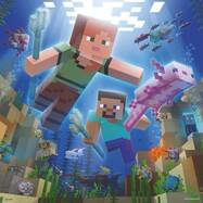x3x49-pcs-puzzle-minecraft-biomes.jpg.pagespeed.ic.pSCEU6hM-x.jpg