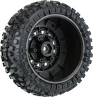 PRO118210-01.jpg
