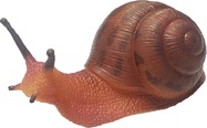 Živá příroda: Snail - realistický model šneka (13 cm)