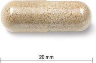 IP1984-01.jpg