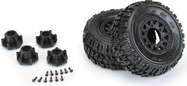 PRO119010-03.jpg
