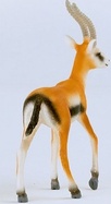 OLP102614861_5.jpg
