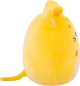 svsdvzv9979u.jpg