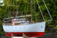 DSC_8466.jpg