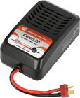 Robitronic Ladegerät Expert 20W 4-8NiMH AC