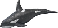 Živá příroda: Kostka - realistický model (17,5 cm)