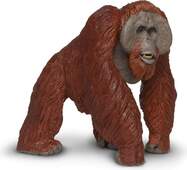 Safari® Borneo-Orang-Utan