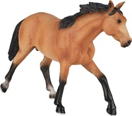 Mein Pferd schwimmt