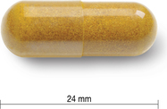 IP1636-01.jpg