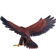 MJ381051_4.jpg