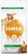 IAMS Dog Adult Large Chicken 3kg