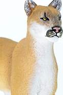 15308ecf912f20485940773b96afd9481357fd35_1000x1000_crop_center.jpg