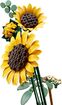 LEGO_11502_WEB_SEC02_NOBG.jpg