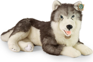 Plišani pas husky ležeći 60 cm EKOLOŠKI PRIJATELJSTVEN.