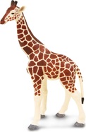 xoplyamvvtimz1f6q6ss_1600x1600_crop_center.jpg