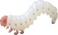 Živá příroda: Larva - realistický model hmyzu (11,5 cm)