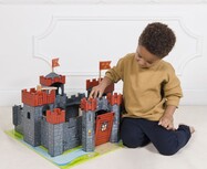 TV290-lionheart-castle-boy-playing-with-the-drawbridge.jpg