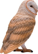MJ381054_4.jpg