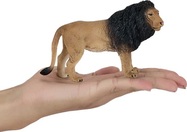 MJ381070_Lion_3.jpg