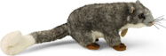 242654-2.jpg