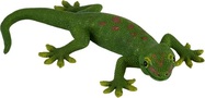 Můj gekon