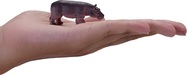 MJ380057_4.jpg