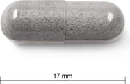IP334-01.jpg