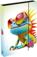 Box na zošity A4 Jumbo Chameleon