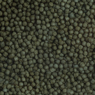 sera_Cichlid_Green_XL_Nature_Detail.jpg