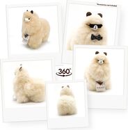 Im695s4sage-2.jpg