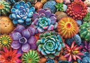 trefl-99307-szines-pozsgasok-1000-db-os-puzzle-1.jpg