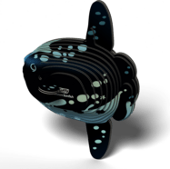 b5cb7ef6c2bf68edff261d77179c1fd5.png